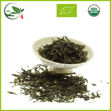 Chinesischer organischer Gesundheit Sencha grüner Tee